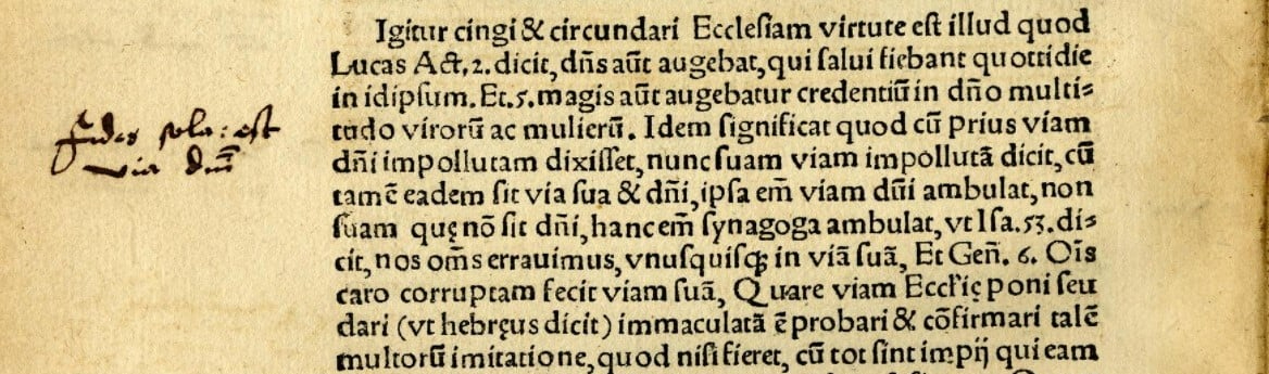 Marginalia in Luther's Operationes in Psalmos