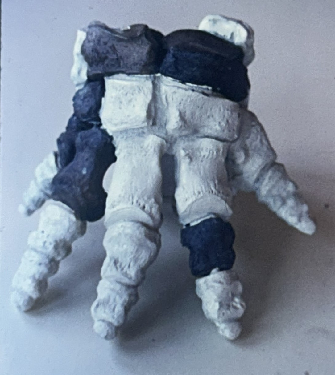 Reconstructed foot bones of Mastodon with missing bones in plaster