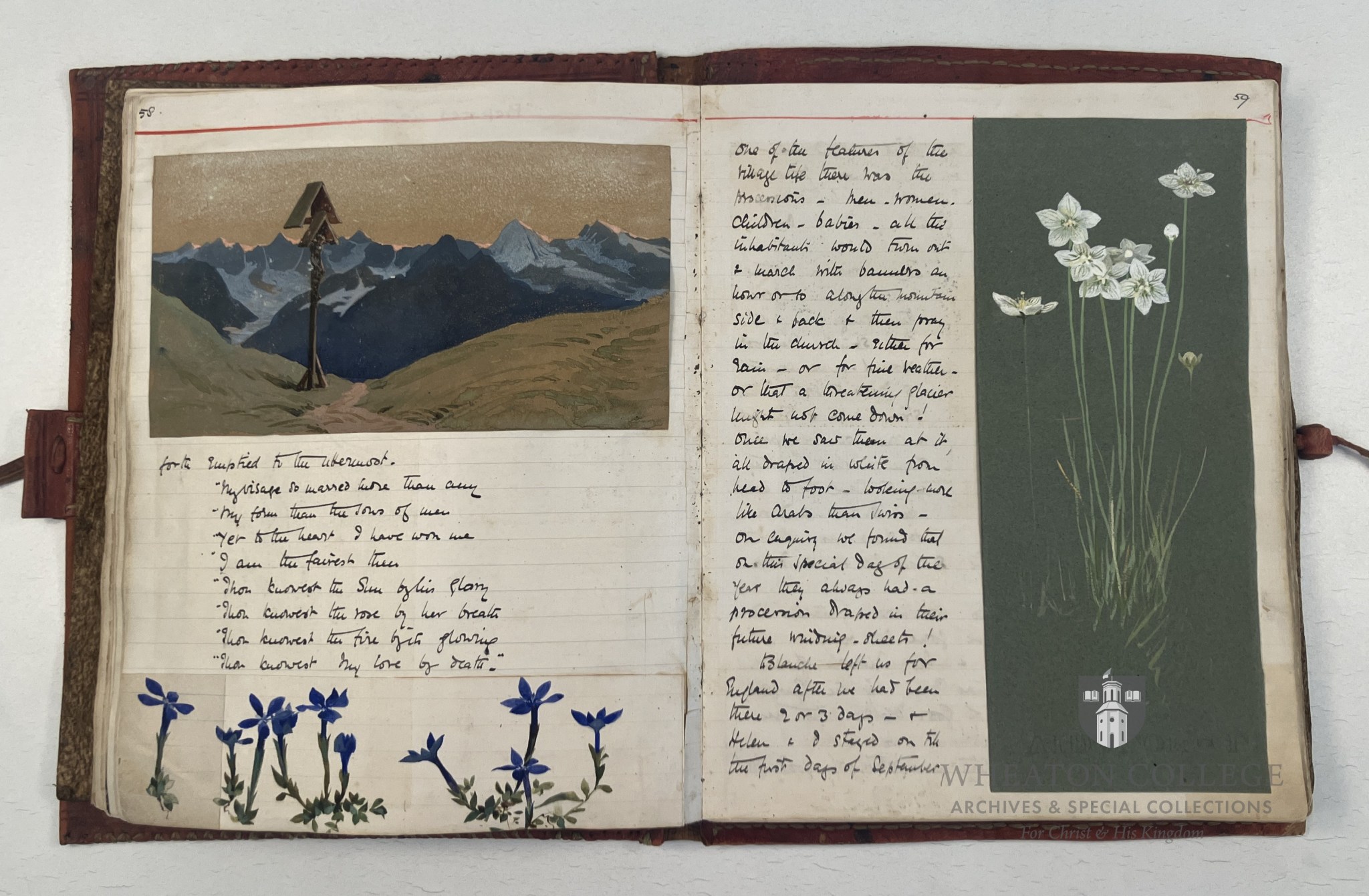 An Artist with Pen and Brush: Introducing the Lilias Trotter Papers ...